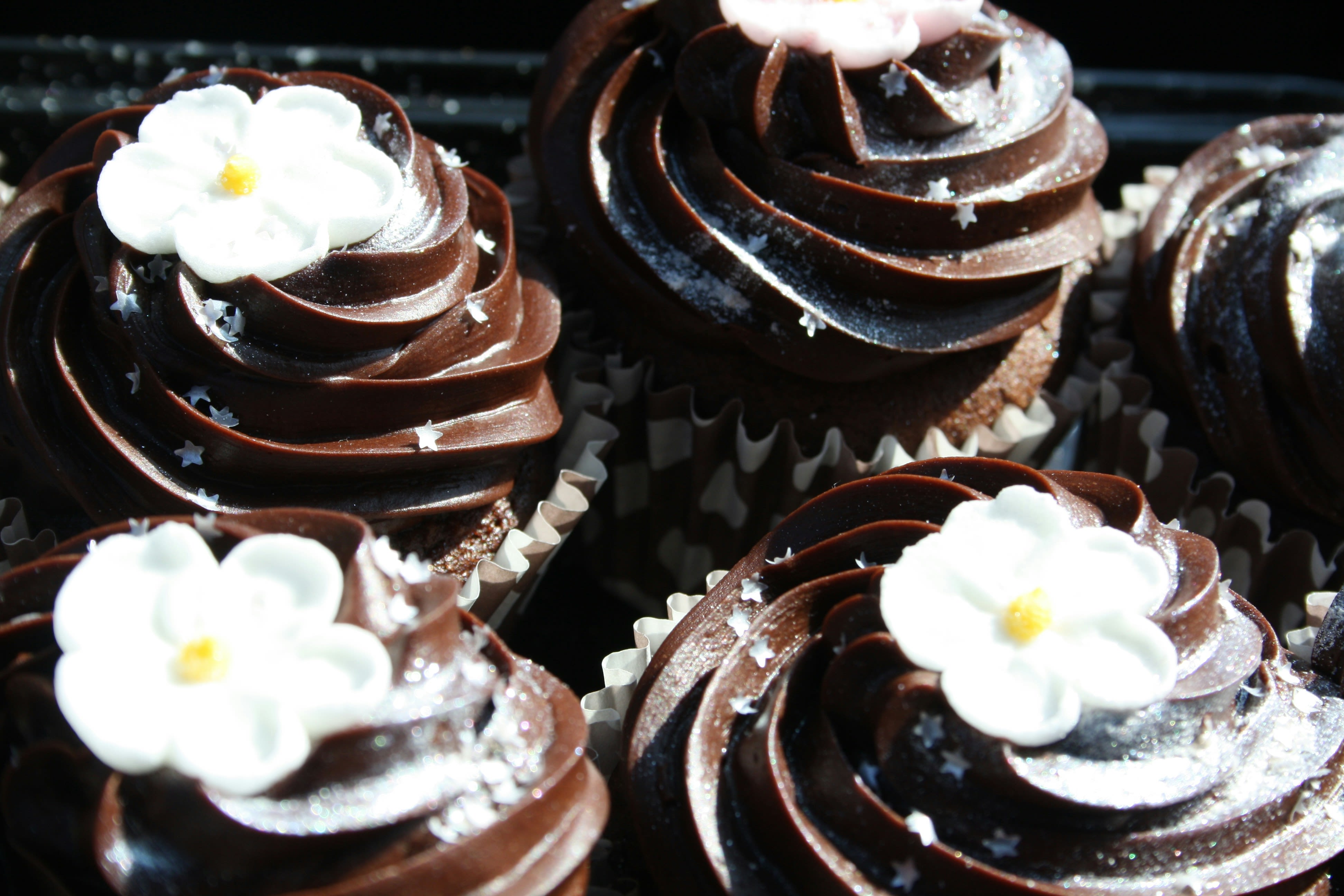 Chocolate cupcakes with chocolate frosting and white flowers